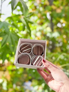 Caja 4 Mini Alfajores Mix