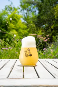 Schop Loa Flor De Truco 6.0%