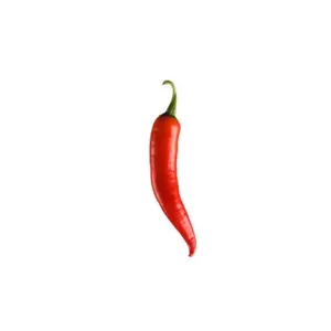 AJI KG