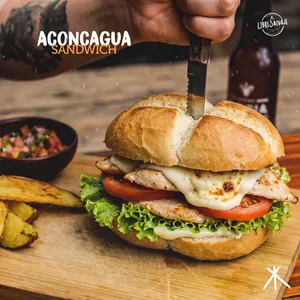 Aconcagua