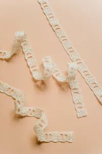 Broderie Pasacinta  Crudo 1005 - Pieza 10 Mts.