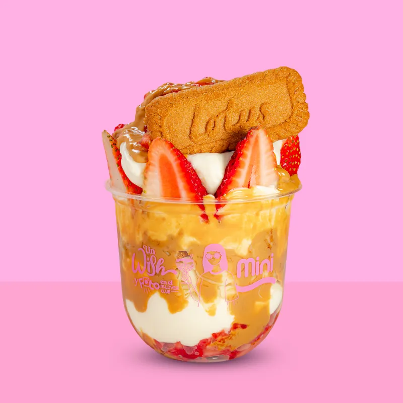 Biscoff Lotus Mini
