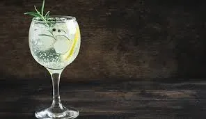 gin tonic