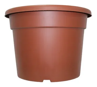 Maceta MCD 50