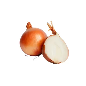 Cebolla Frita