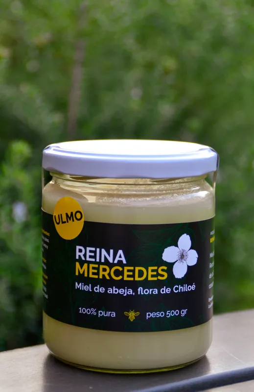 Miel de Ulmo 500 gr