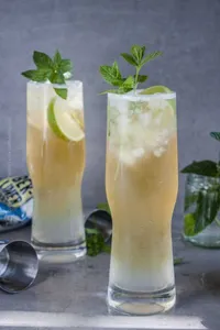 Madras Mojito