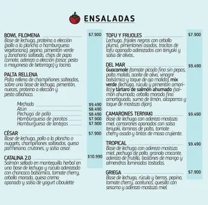 Imagen de diseño large