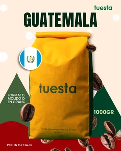 Guatemala | Huehuetenango 1000 GR