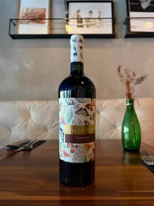 Pillpintu - Carmenere