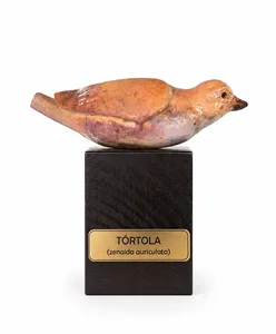 Tortola