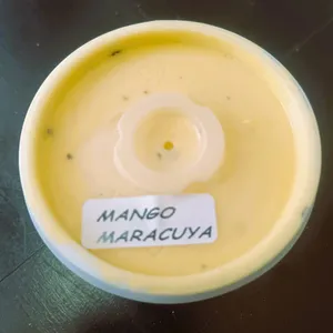 Helado Mango Maracuyá