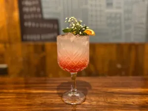 Sandía MULE 1/2 litro