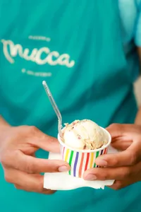 Gelato 1 sabor