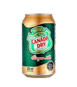 CANADA DRY GINGER ALE (normal)
