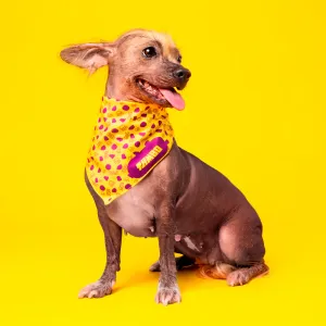Bandana Para Mascotas Tambo Amarillo