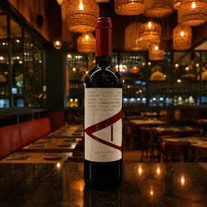 Cabernet Sauvignon Vik A Botella