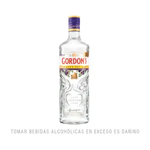 Gin Gordons X 750 Ml