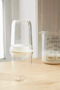 Espumador de Leche