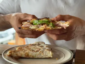Panini Aliado palta
