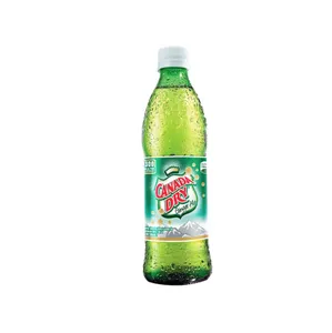 CANADA DRY GINGER ALE 355 ML
