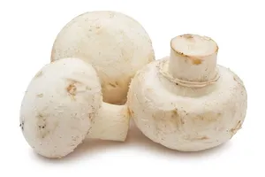 Champiñón 200gr