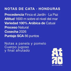 PACK FILTRADOS