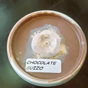 Helado Chocolate Suizo