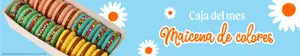 Slide Background