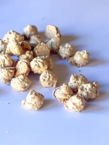 Pop Noisette