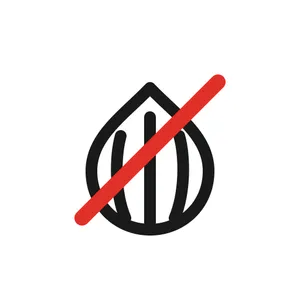 Sin Cebolla
