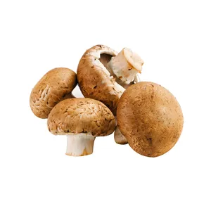 CHAMPIÑON SHITAKE KG
