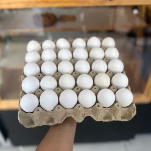 Bandeja Huevos gallina libre