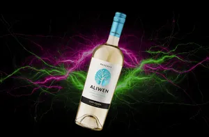 Vino blanco Aliwen Sauvignon 750cc