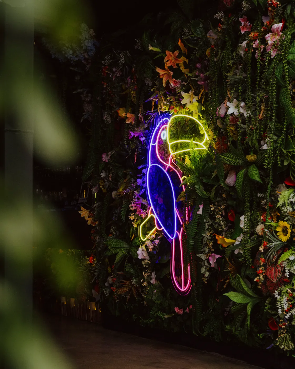 Publicación de Instagram 2