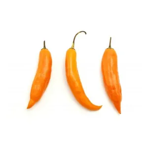 AJI AMARILLO PERUANO