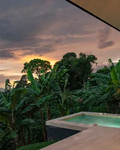 Kit Moara x Felicidad