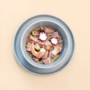 Ceviche Mixto