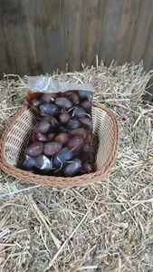 Aceituna Negra, Valle De Til Til 500 Gr