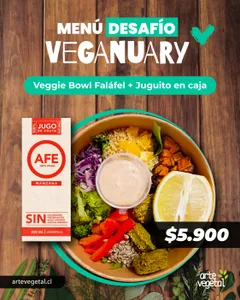 Promoción bowl Falafel + jugo cajita