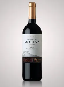 Reserva Castillo De Molina Merlot 2019