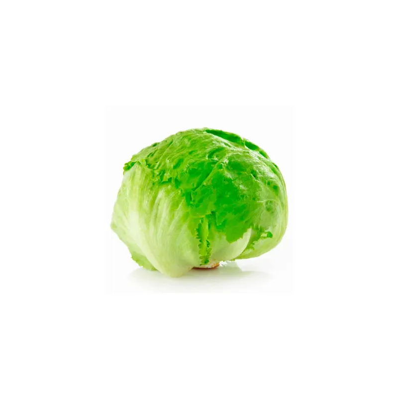 LECHUGA ESCAROLA (1 UN)