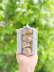 Frasco Bocados Manjar Nuez 250 gr