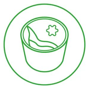 Gelatos de cuchara