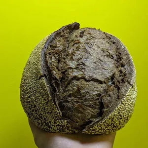 Hogaza de masa madre con cacao y sesamo