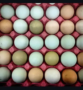 HUEVOS DE CAMPO POR BANDEJA DE 30U