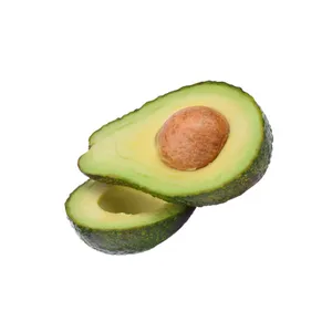Palta