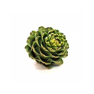Alcachofa (1 Un)