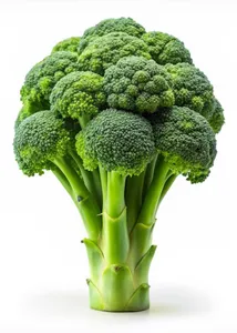 Brócoli