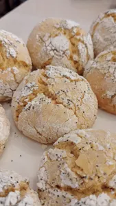 CRINKLE NARANJA AMAPOLA